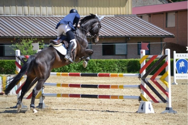 Obstáculos de la escuela de salto 